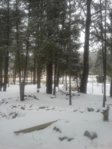 Winter Wonderland In Ruidoso New Mexico