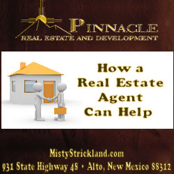 How A Real Estate Agent Can Help